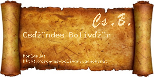Csöndes Bolivár névjegykártya